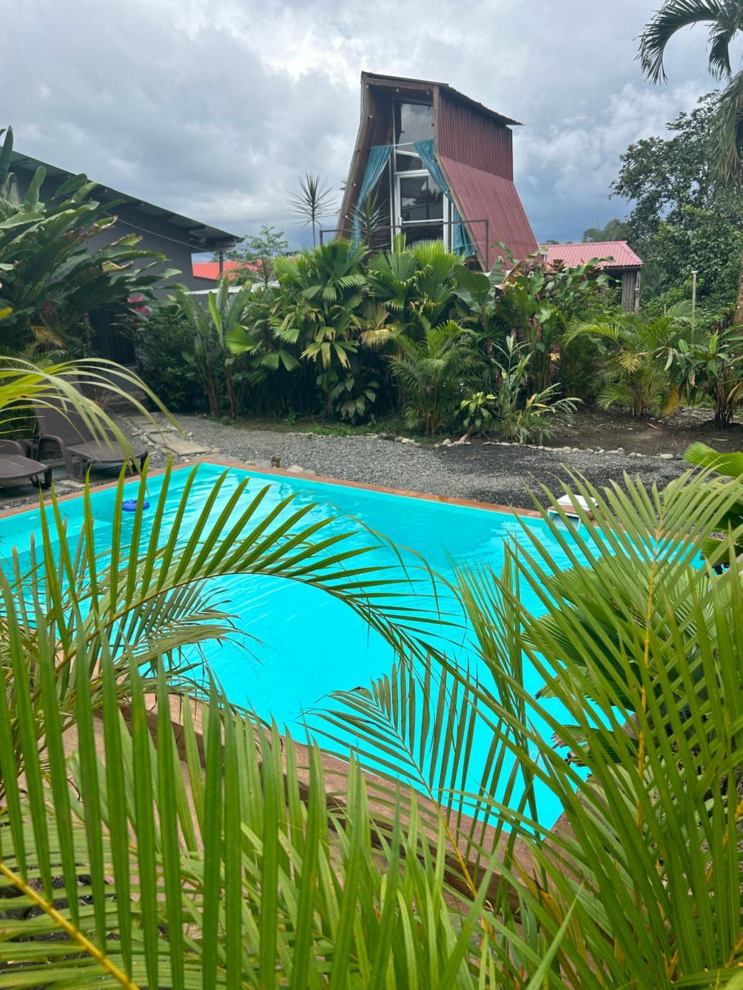 Villa Tiny Experience
